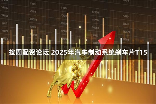 按周配资论坛 2025年汽车制动系统刹车片T15