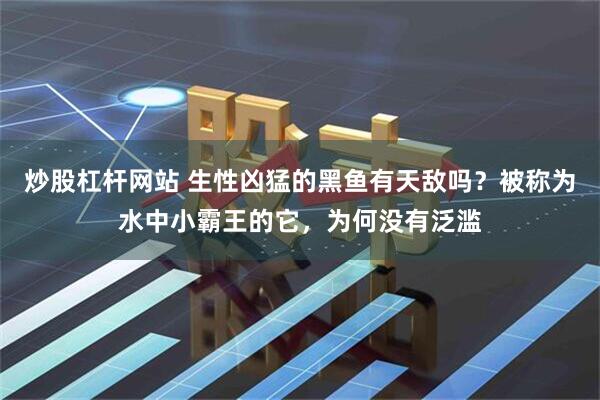 炒股杠杆网站 生性凶猛的黑鱼有天敌吗？被称为水中小霸王的它，为何没有泛滥
